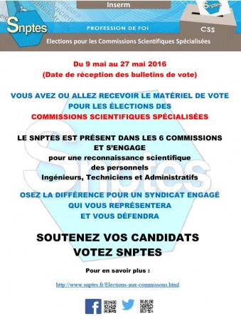 Elections_CSS.jpg